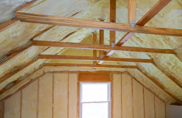 Best Residential Insulation in Horseshoe Bend, AR