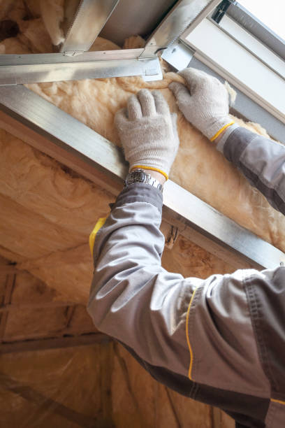 Types of Insulation We Offer in Horseshoe Bend, AR