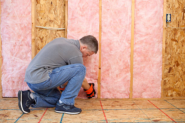 Best Blown-in Insulation in Horseshoe Bend, AR