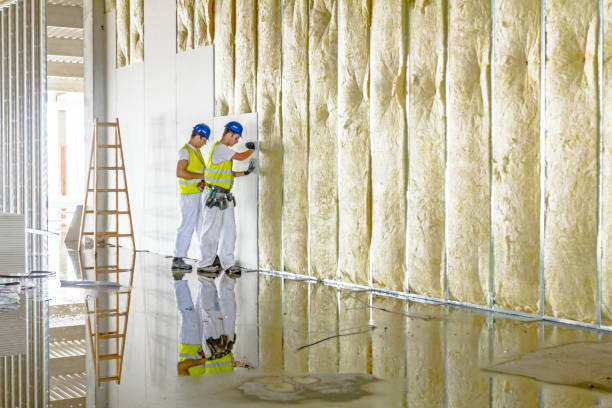 Best Insulation Maintenance and Repair in Horseshoe Bend, AR